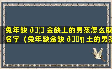 兔年缺 🦆 金缺土的男孩怎么取名字（兔年缺金缺 🐶 土的男孩怎么取名字陆）